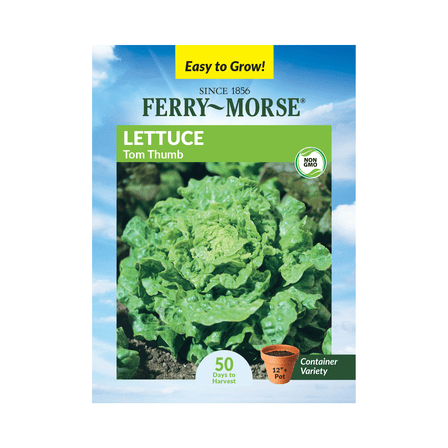Ferry-Morse 500MG Lettuce Tom Thumb Annual Vegetable Seeds, Full Sun