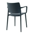 thumbnail image 5 of Omax Decor Cleo Arm Resin Patio Dining Chair in Anthracite Black - (Set of 2), 5 of 7
