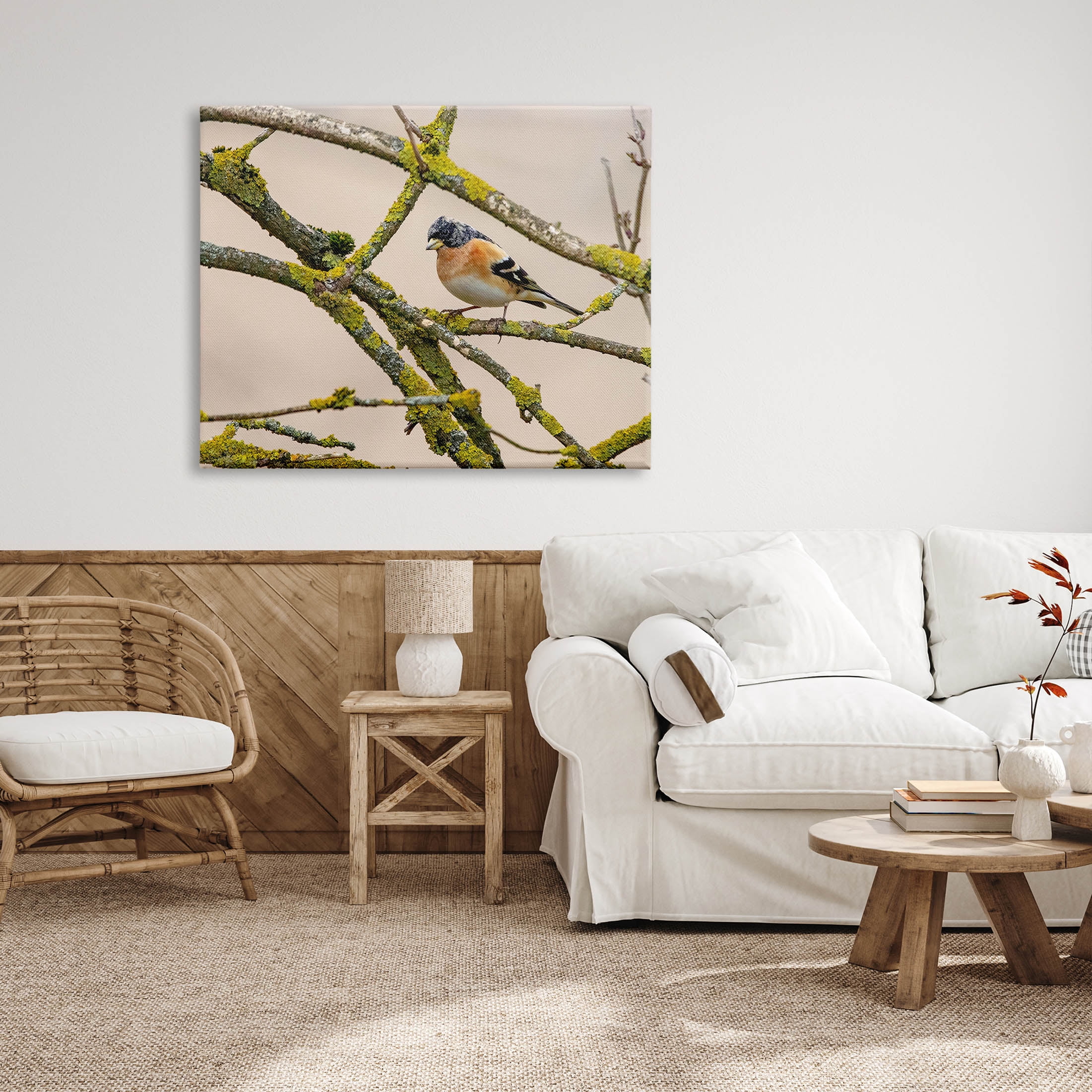 Stupell Industries Orange Bird Mossy Tree Branch Photograph Gallery Wrapped Canvas Print Wall Art, Design by Lil' Rue