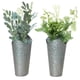 thumbnail image 2 of Florero de pared para flores secas s de almacenamiento s de pared para Decoración rústica pared Zulema Jardinera de pared, 2 of 8