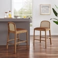 thumbnail image 3 of New Pacific Direct Donna Faux Leather Rattan Counter Stool in Brown (Set of 2), 3 of 9