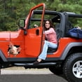 thumbnail image 2 of Animales divertidos pegatinas de coche cerdos grietas pegatinas de coche pegatinas 3D pegatinas de ventana de mascotas pegatinas estáticas 2 uds TUNC Sencillez, 2 of 5