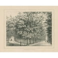 thumbnail image 3 of Wild Apple Portfolio 24x20 Black Modern Framed Museum Art Print Titled - French Park Etching II, 3 of 5