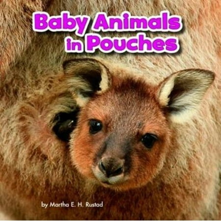 BABY ANIMALS IN POUCHES - Walmart.com