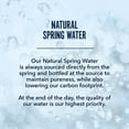 thumbnail image 3 of Disney Mickey Mouse and Minnie Mouse Bottled Water - Naturally Filtered Spring Water in 16.9-Ounce PET Plastic Bottles, Recyclable and BPA-Free, Case of 24, by WaterCo, 3 of 5