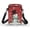 Candy Canes Snowman, variant on Double Zipper Crossbody Bag for Adult Casual Use Women Shoulder Bag Polyester 4.33x1.97x7.09 Penguin Snowflake