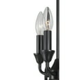 thumbnail image 4 of 7000-04-32-Forte Lighting-Ione - 4 Light Foyer Pendant-19 Inches Tall and 11.75 Inches Wide     -Traditional Installation, 4 of 4