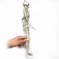 thumbnail image 2 of Modelo flexible de esqueleto humano de 40 cm de altura - Anatomía médica anatómica a tamaño real, 2 of 4