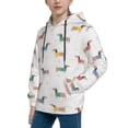 thumbnail image 2 of Haiem Dachshund Dog Puppy Pattern Boys Hoodie, Youth Pullover Hooded Sweatshirt, Kangaroo Pocket Hoodie for Kids Girls -Medium, 2 of 6