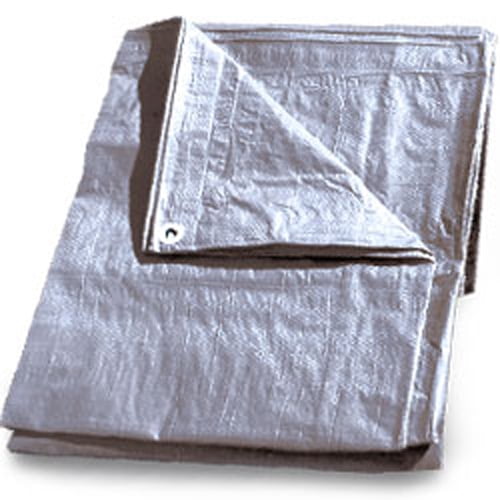 CWC HeavyDuty Tarp 20' x 30', Silver (Pack of 2 tarps)