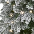 thumbnail image 4 of Nearly Natural 5' Prelit LED Flocked Fir Artificial Christmas Tree, 4 of 8