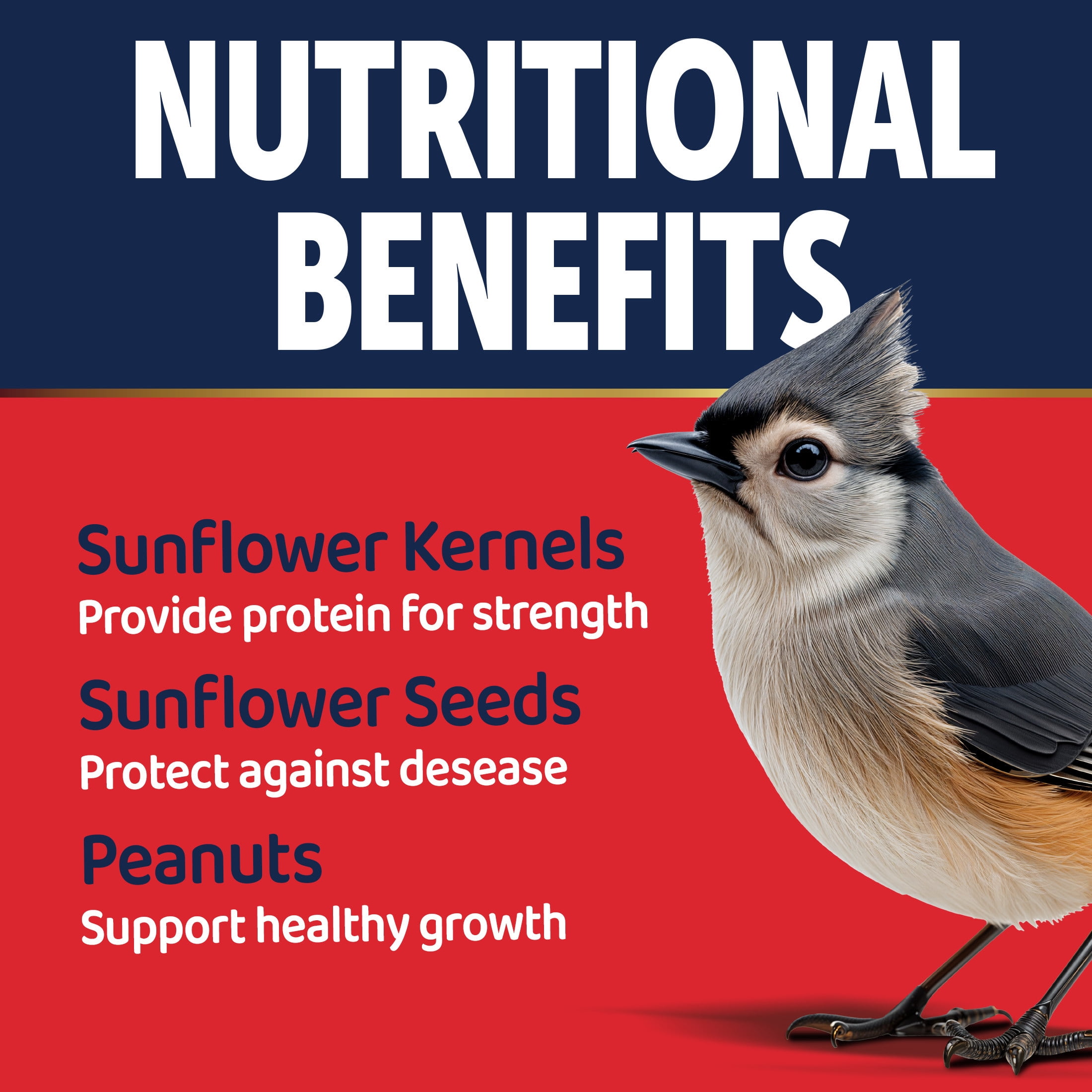 3-D Pro Blends Sizzle N' Heat, Wild Bird Food, Spicy Bird Seed to Prevent Squirrels, 5 Pounds