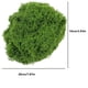 thumbnail image 3 of Musgo Simulado, Musgo Artificial, Plantas Verdes, Paisajismo Decorativo, Césped En Maceta, Pavimento, Bricolaje, Musgo Falso Filamentoso, 3 of 7