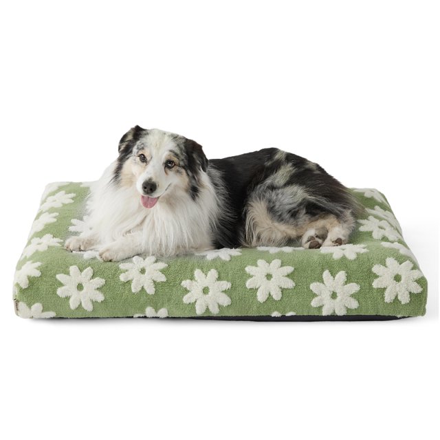 Cama para perros LE SURE Lesure XLarge de espuma gruesa con funda extraíble