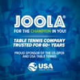 JOOLA Quadri Indoor Table Tennis Table Net and Post Set, 15mm Surface