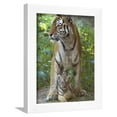 thumbnail image 1 of Siberian Tiger Mother with Young Cub Resting Between Her Legs, Animals Framed Art Print Wall Art by Edwin Giesbers Sold by Art.Com, 1 of 5