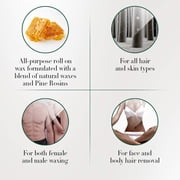 Clean + Easy Basic Roll-On Waxing Kit For Women, Complete Waxing Face & Body Hair Removal, 120V