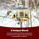 thumbnail image 3 of Alimento para mascotas Kaytee Songbird Wild Bird Blend 6,5 kg, 3 of 9