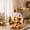 #C, variant on Glowing Christmas Story Ornament, Light Up Mini Holiday Scene Hanging Decoration with Warm LED Light, Festive Keepsake Gift for Home Christmas Tree Window Mantel Decor