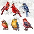 thumbnail image 5 of Winter Birds Decorative Wooden Clip-on Ornaments of 6 by G. Debrekht - Christmas Decor - 8090005C-S6, 5 of 11