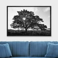 thumbnail image 2 of wall26 Framed Canvas Print Wall Art Sunlight Shines Through Large Mountain Tree Floral Nature Photography Realism Expressive Dark Black and White for Living Room, Bedroom, Office - 16"x24", 2 of 5
