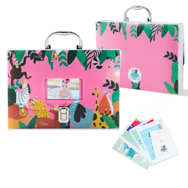 Blushy Baby Organisateur de Documents avec 12 Pochettes, Argent, 1 Unité