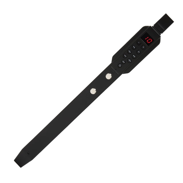 10 Tones MIDI Connectivity Digital Wind Instrument, Rechargeable Mini Electronic Wind Instrument with 12 Accompaniments, 2W HiFi Speakers for , for Phone, for