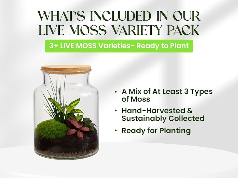 Live Moss Variety Pack for Terrariums – Fresh Live Moss – Natural Green Moss – Pet-Safe Moss for Reptile Tanks, Fairy Gardens, and Indoor Décor