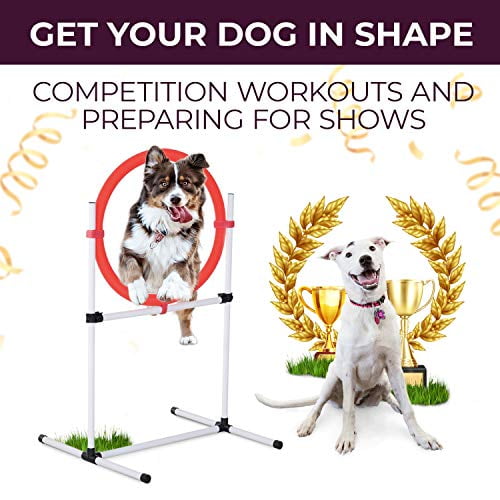 KATZEIST Agility Training Equipment for Dogs, Dog Agility Course Backyard  Set Dog Obstacle Course Play Kit Indoor Outdoor Games Includes Dog Tunnel