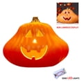 thumbnail image 2 of Halloween Pumpkin Lamp, Plastic LED Light for Outdoor Yard Porch Home Storefront Shopping Mall Holiday Decor, 2 of 7