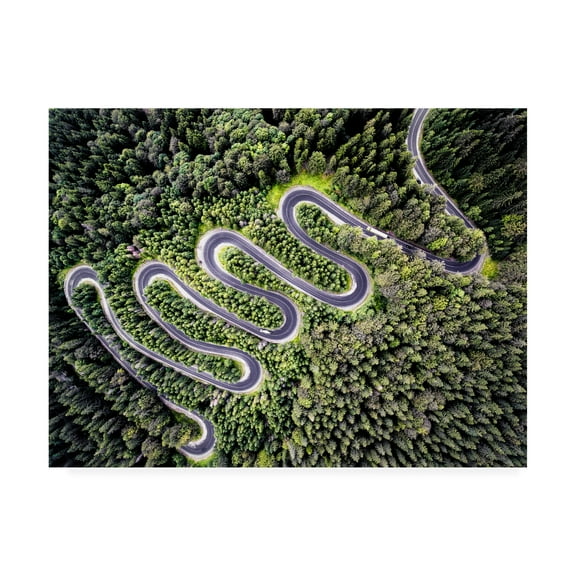 Trademark Fine Art 'Road Winding' Canvas Art by PhotoINC Studio
