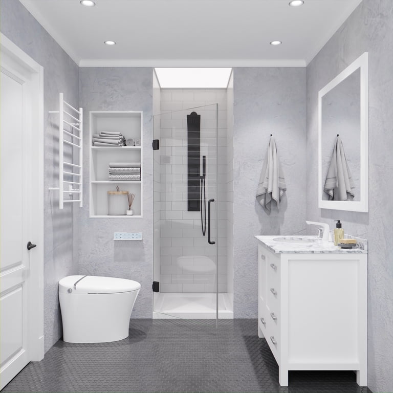 Passion Series 24 in. x 70 in. H Hinged Frameless Shower Door in