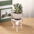 thumbnail image 6 of Single Tier Rustproof Vintage Round Metal Plants Stand, Decorative Flower Pot Holder Rack for Indoor Outdoor Living Room Balcony Patio Garden Corner, Heavy Duty Iron Planter Shelf for Home Greenery, 6 of 6