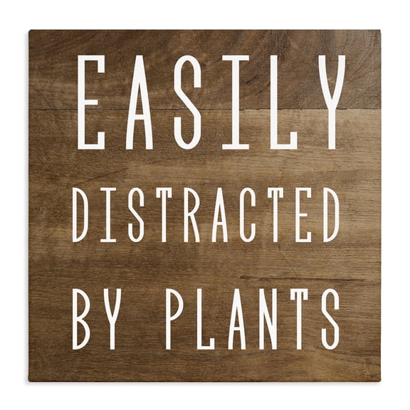 Stupell Industries Farmhouse Easily Distracted By Plants Rustic Plank Patterned Text Canvas Art, 17 x 17, by Lil' Rue