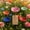#5PCS-B, variant on Bee Watering Station for Garden Cups Bird Butterfly Bees Ceramic Drinking and Water Bath Feeder Cup Blossoms Flowers Shaped Design Poppies Bowl Wildlife Feeding 5PCS Watring Pollinator (#5PCS-D)