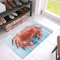 thumbnail image 3 of MKHERT Brown Crab on Blue Wooden Table Doormat Rug Home Decor Floor Mat Bath Mat 30x18 inch, 3 of 3