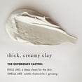 thumbnail image 4 of Bioelements Restorative Clay - 2.5 fl oz - Pore-Refining Natural Clay Mask - Absorbs Oil & Improves Skin Texture - Vegan, Gluten Free - Never Tested on Animals, 4 of 6