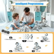 KIVDIT Robot Dog for Kids,Programmable Remote Control Robot Dog,Singing Dancing RC Robot Toys with Interactive Touch,LED Eyes,Volume Control