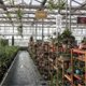 thumbnail image 4 of Jinyi Digital ,max Min Easily Mounted En Plant Digital Temperature Ga, 4 of 5