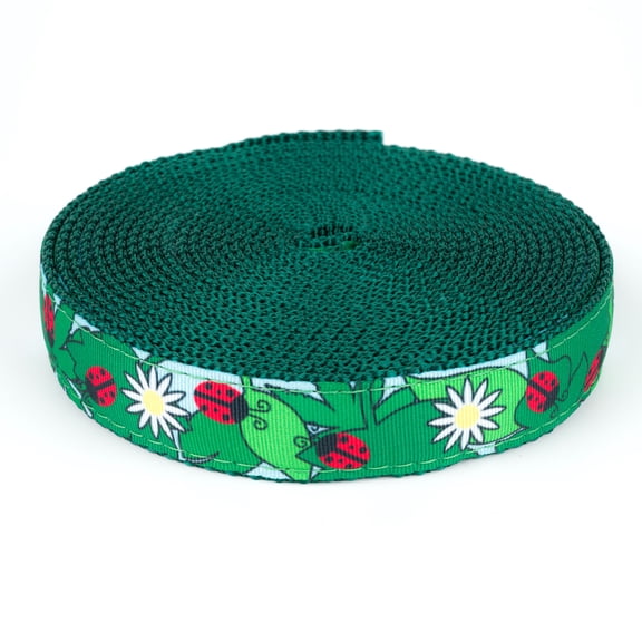 Country Brook Design - Ladybugs Picnic Ribbon on Green Nylon Webbing (1 Inch, 10 Yards)