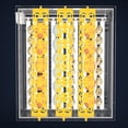 thumbnail image 3 of Miangastore Mini Incubator Hatcher Plastic Automatic Chicken Egg Tray Incubator Hatcher Tray, 3 of 9