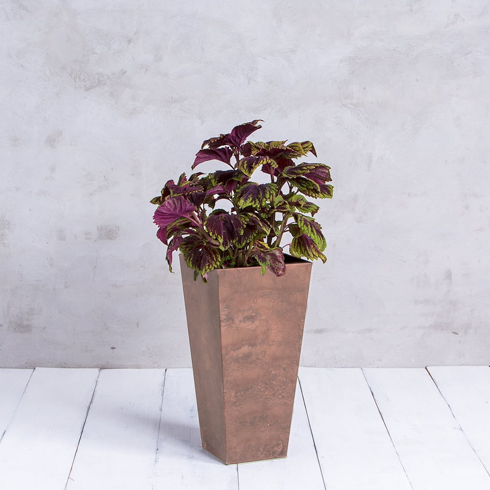 Root & Vessel Ella Tall Planter, Rust, 27.5"