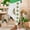 White, variant on Womens St Patricks Day Leggings Stretchy High Waisted Soft Shamrock Legging Irish Clover Saint Pattys Day Tights