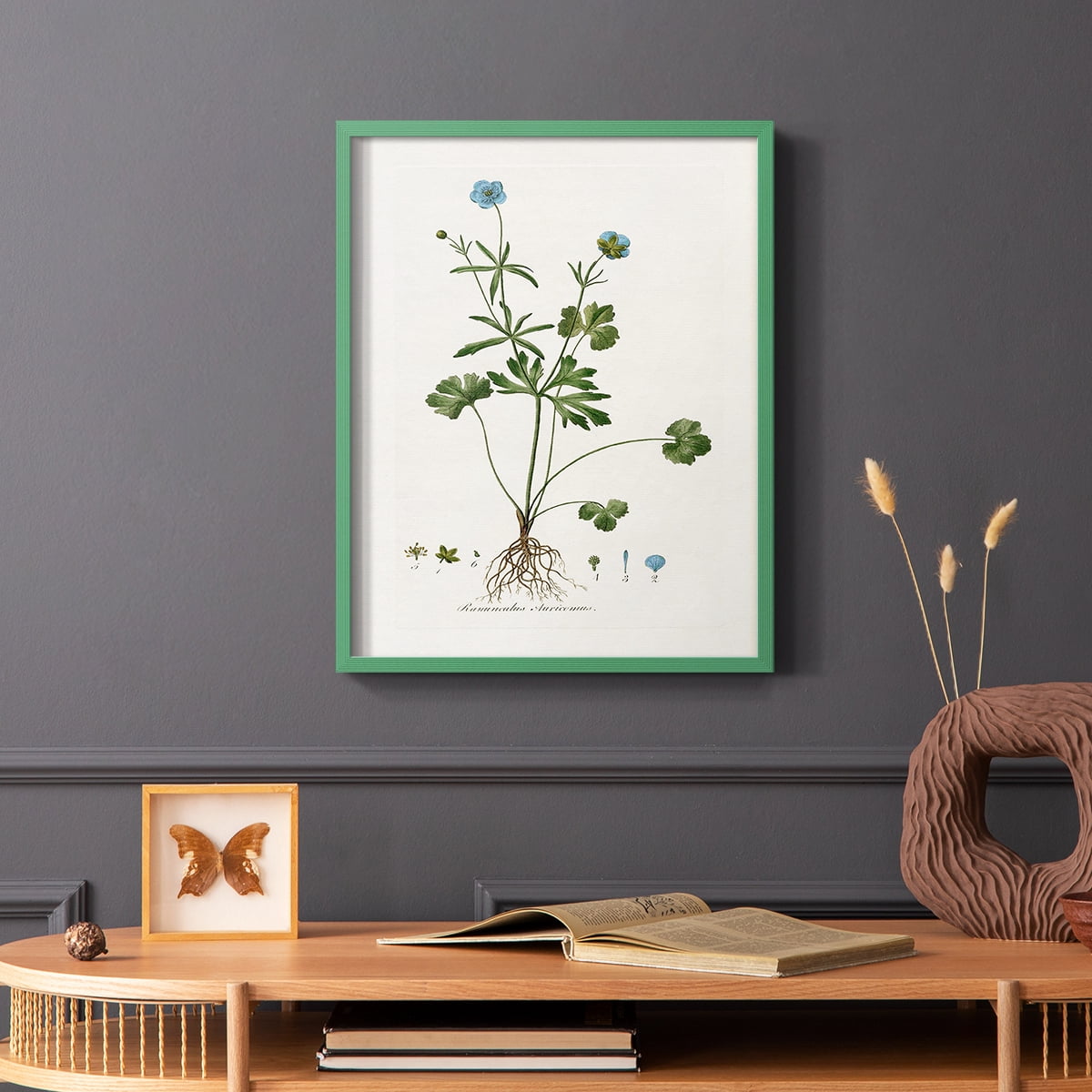 Buttercup Study Framed Print in Green Solid Wood Framed Print No Nail Hanging
