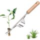 thumbnail image 2 of Extractor de plántulas de acero inoxidable, herramienta de deshierbe para jardín, arrancador de raíz, eliminación de plántulas, 1 unidad, 2 of 5
