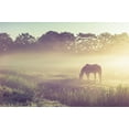 thumbnail image 2 of Jenny Rainbow Fine Art 18x13 Gold Ornate Wood Framed with Double Matting Museum Art Print Titled - Misty Morning on the Dutch Field, 2 of 4