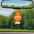 thumbnail image 5 of Little Trees Auto Air Freshener, Hanging Card, Coconut Fragrance 6-Pack, 5 of 9