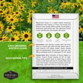 thumbnail image 2 of 5 Packs Black-Eyed Susan Wildflower Seeds - Full Sun USA Native Perennial Flowers, 2 of 6