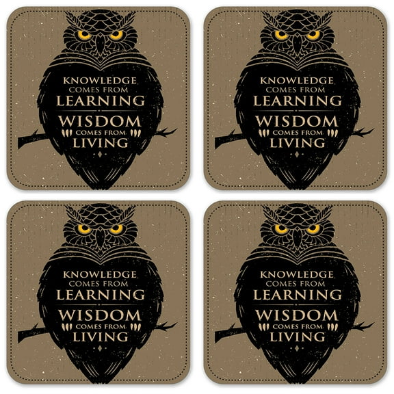 Vinyl Drink Coasters - Set of 4 - Knowledge