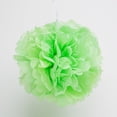 thumbnail image 1 of Richland Pom Poms Green Tissue Paper 8" Set of 10, 1 of 1